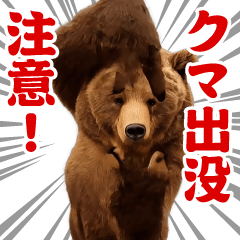 Dancing! Swaying - Bear