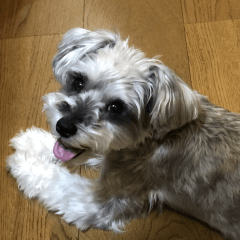 -すぅスタンプ2-