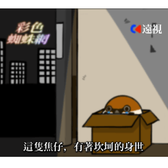 Rabbit and Sparrow Daily