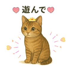 meteor_20251112203239