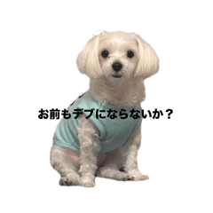 mochi_20251112211045