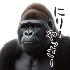 沖縄すぎるイケメンゴリラ