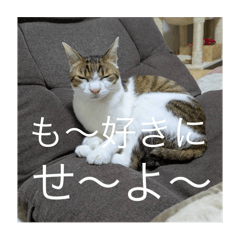 nemunemu_20251112222439