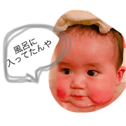 tinami2