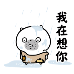Baoji- Little Daily Update
