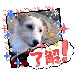 Yukari_20251113004744