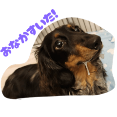 SAKURA_20251113112720