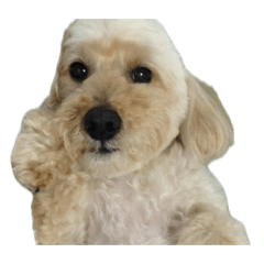 honita_20251112164315