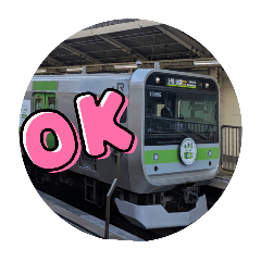 Conventional train seen at Tokyo Station