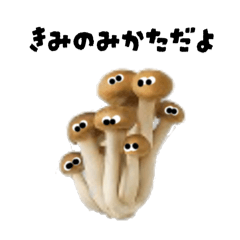 saori_20251112165045