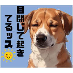 Junior Dog Daily Life