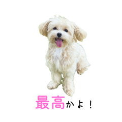 Peppas daily life