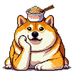 季節の変わり目に気遣い太っちょ柴犬