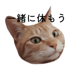 inuko_20251113101533