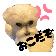 asuka_20251113142554