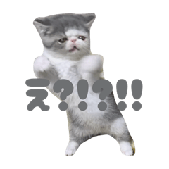 honey_20251113143530