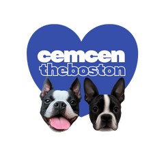 cemcentheboston