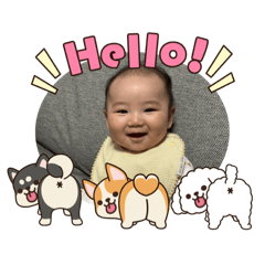 Momoko_20251113160206