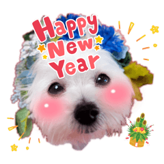 asuka_20251113161029