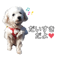 akane_20251113161743