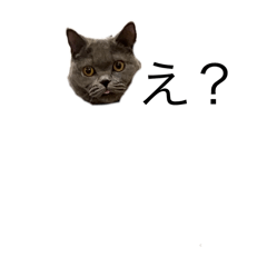 tokuda_20251113203511