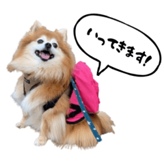 ayame_20251113202951