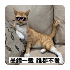 多比嘟日常用語