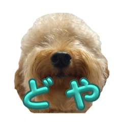 NATSUMI_20251113214444