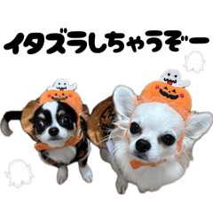 maimai_20251113214113