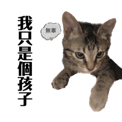 糜爛布丁寶寶慵懶生活