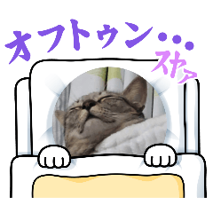 misaki_20251113221340