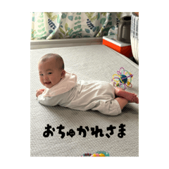 panda_20251113221012