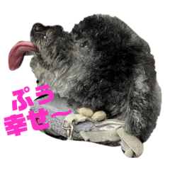 seira_20251113221258