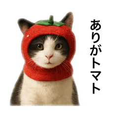 ASUKA_20251113135111