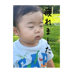 koto_20251113145402