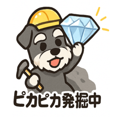 Jewel Schnauzer  Sparkling Days