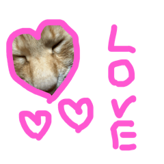 Nekozuki_20251113130856