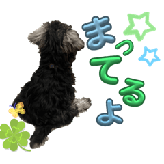 omochi_20251114002753