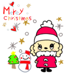 もっこもこティーカッププードル