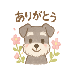 Fluffy Flower Schnauzer