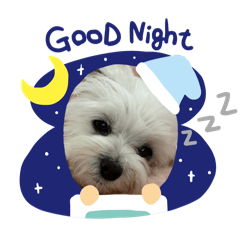 asuka_20251113164158