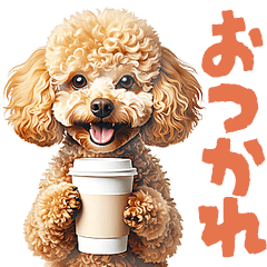 real dogs meme Toy poodle