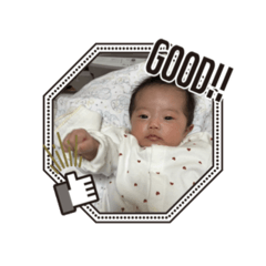 ARISA_20251113190636