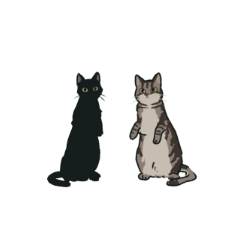 black and tabby 2cats