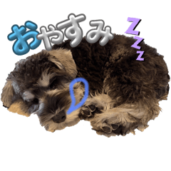 omochi_20251113235327