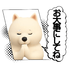 ayame_20251114113340