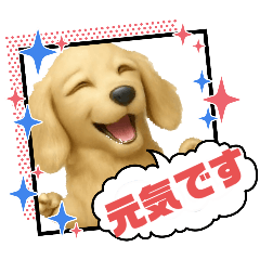 ayame_20251114113644