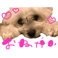 michan_20251113182354