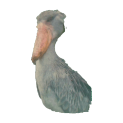 KAITO_20251113212345