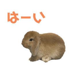 Asahi_20251113191652